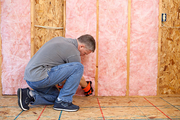 Best Professional Insulation Contractor  in Roswell, GA